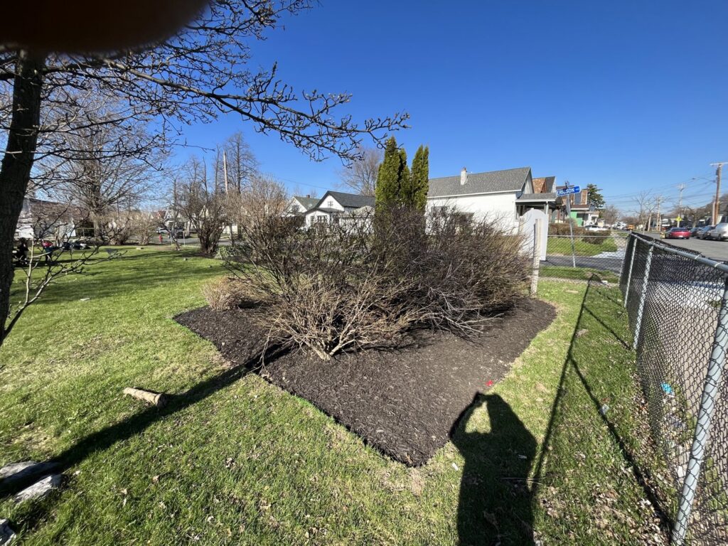 A snowblower actively clearing snow from a residential property by Rose Landscaping and Snow Removal in Buffalo, NY.