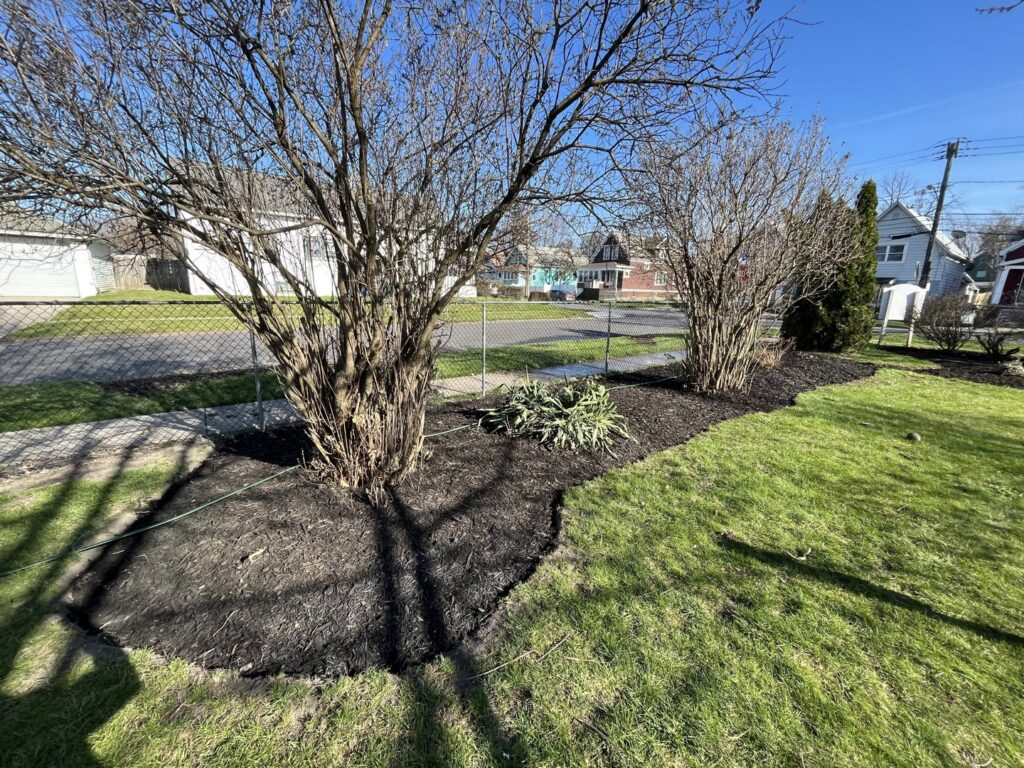 A snowblower on a snowy residential lawn, ready for snow removal by Rose Landscaping and Snow Removal in Buffalo, NY.