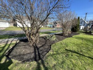 A snowblower on a snowy residential lawn, ready for snow removal by Rose Landscaping and Snow Removal in Buffalo, NY.