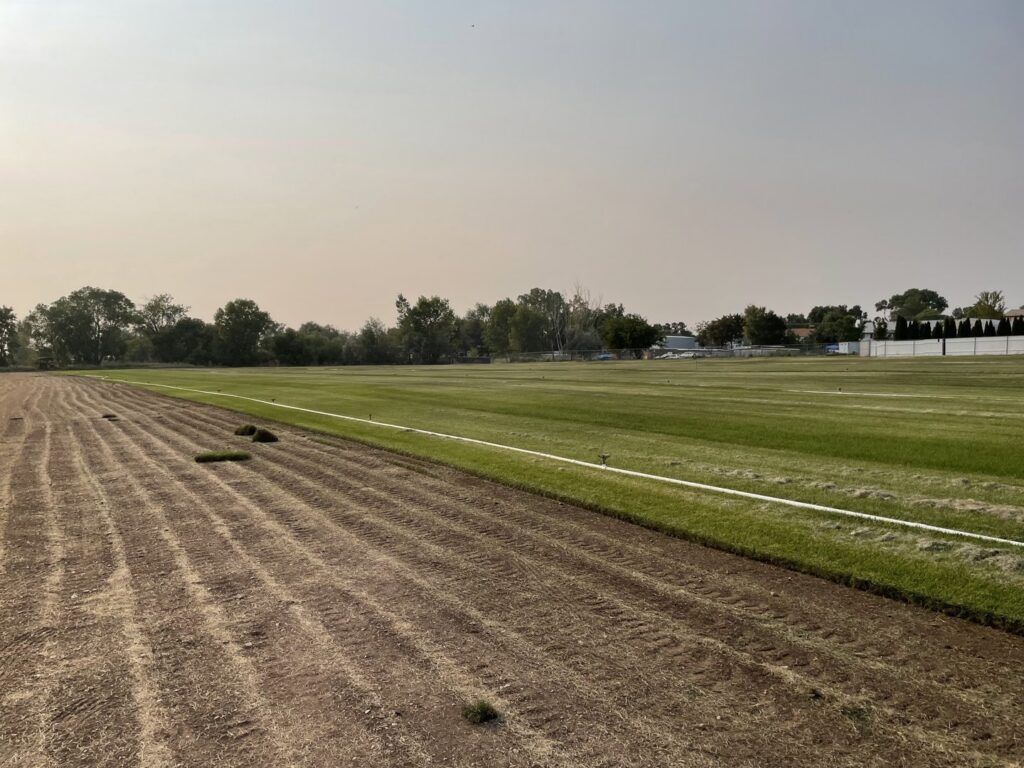 A field showing sod installation in progress, with new sod laid next to prepared soil by Aspen Sod in Layton, UT.