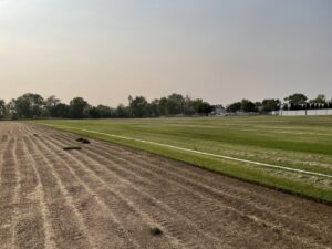 A field showing sod installation in progress, with new sod laid next to prepared soil by Aspen Sod in Layton, UT.