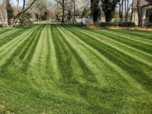A spacious front lawn with impressive mowing stripes, demonstrating expert lawn care by A & B Lawn Service LLC in Baytown, TX.