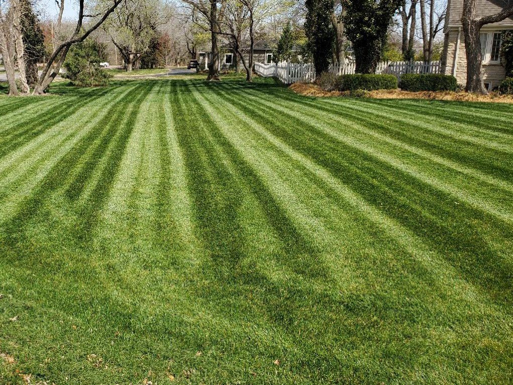 A spacious front lawn with impressive mowing stripes, demonstrating expert lawn care by A & B Lawn Service LLC in Baytown, TX.