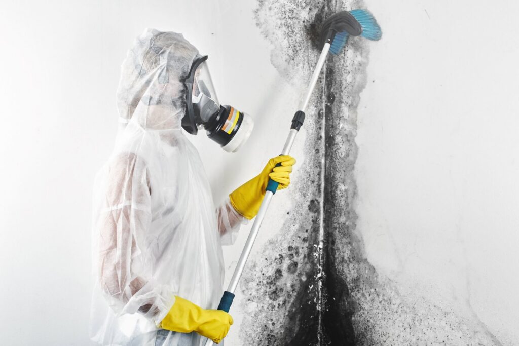 A Green Home Solutions specialist in protective gear scrubbing extensive mold from a wall in Mount Airy, MD.
