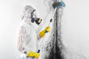 A Green Home Solutions specialist in protective gear scrubbing extensive mold from a wall in Mount Airy, MD.