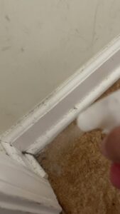 A hand spraying cleaning solution on a dirty baseboard, demonstrating active cleaning by JLJ Sister's Cleaning & More in Lexington, KY.