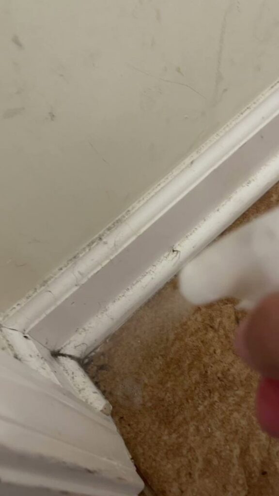 A hand spraying cleaning solution on a dirty baseboard, demonstrating active cleaning by JLJ Sister's Cleaning & More in Lexington, KY.