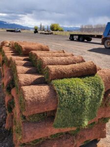 A large stack of fresh sod rolls ready for delivery or installation by All American Sod LLC in Sandy, UT.