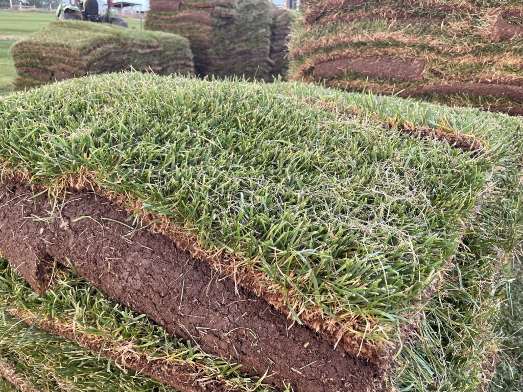 Close-up of freshly cut and stacked sod rolls, ready for delivery from Aspen Sod in Layton, UT.