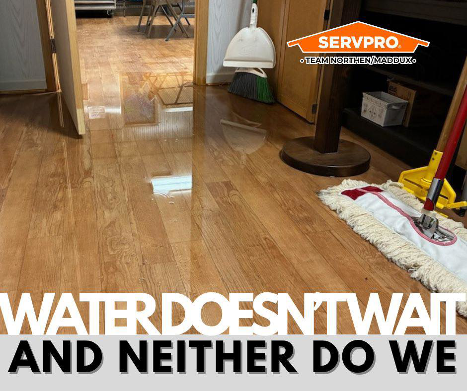 Standing water on a hardwood floor, indicating water damage that Servpro of Athens, GA can restore.