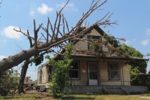 A large tree fallen on a house after storm damage, indicating potential water damage for Royal Restoration in Enid, OK.