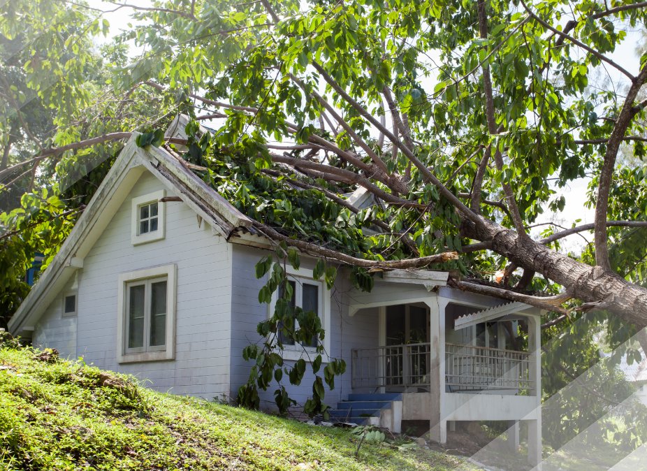 A house with a large tree fallen on its roof, indicating storm damage, handled by Verg Restoration in Vancouver, WA