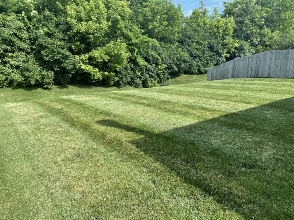 A spacious backyard with a freshly mowed lawn displaying clean stripes, provided by Jerman Lawn Care in Bozeman, MT.