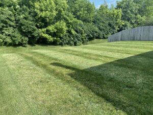 A spacious backyard with a freshly mowed lawn displaying clean stripes, provided by Jerman Lawn Care in Bozeman, MT.