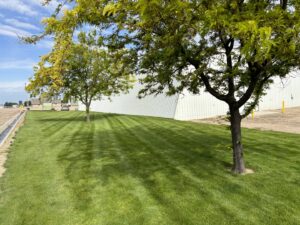 A neatly striped lawn at a commercial property, maintained by Luna's Lawn Care LLC in West Des Moines, IA.