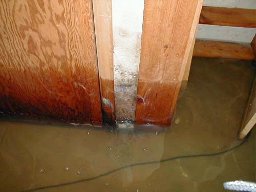 Submerged wooden structural elements in dirty water, showing severe water damage and potential mold in Oakland, CA by One Call Services of Oakland.