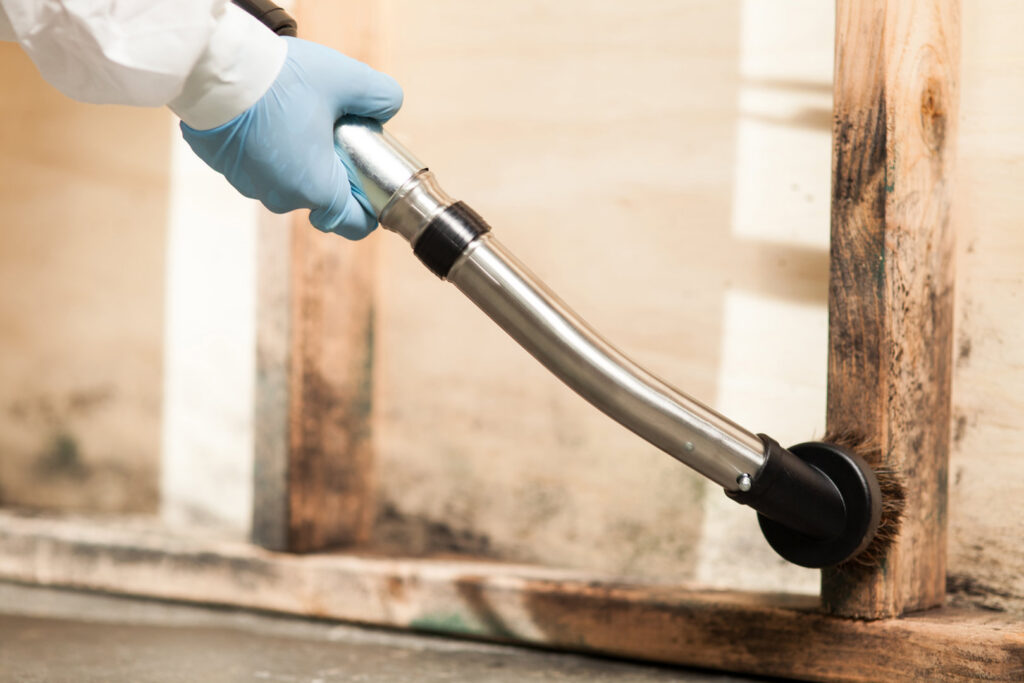 A technician from 1-800 Water Damage of Harrisburg, PA cleaning mold from a wooden stud during remediation in York, PA.