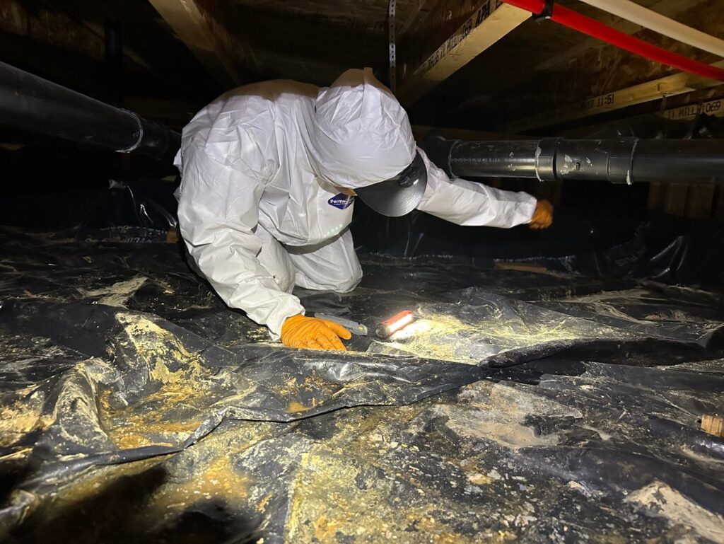 A Restorex technician in a hazmat suit inspecting a crawl space for water damage or mold in Petaluma, CA.