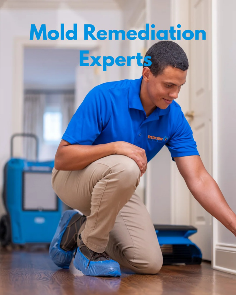 A Restoration 1 of Tuscaloosa technician in Northport, AL, inspecting for mold and moisture damage with professional drying equipment in the background.