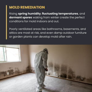 A technician in a hazmat suit inspecting a wall with significant mold growth at a property serviced by Valley Restoration in Arbuckle, CA.