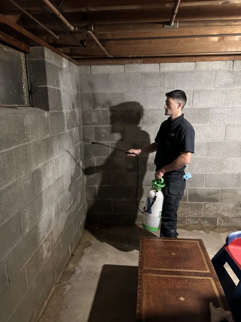 A PuroClean technician spraying a basement wall for water damage or mold treatment in Lancaster, PA.