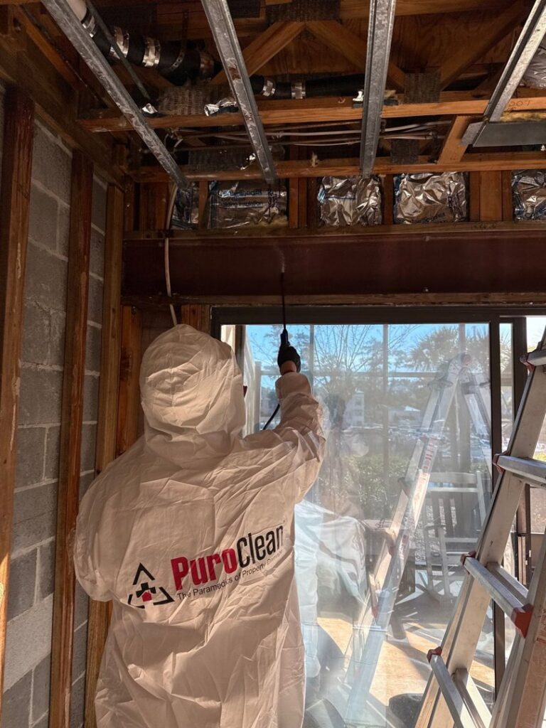 A PuroClean technician in a hazmat suit spraying a solution for mold remediation on exposed ceiling and wall framing in Bluffton, SC.