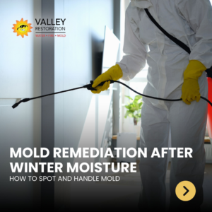 A technician in a hazmat suit and yellow gloves using a sprayer for mold remediation services by Valley Restoration in Arbuckle, CA.