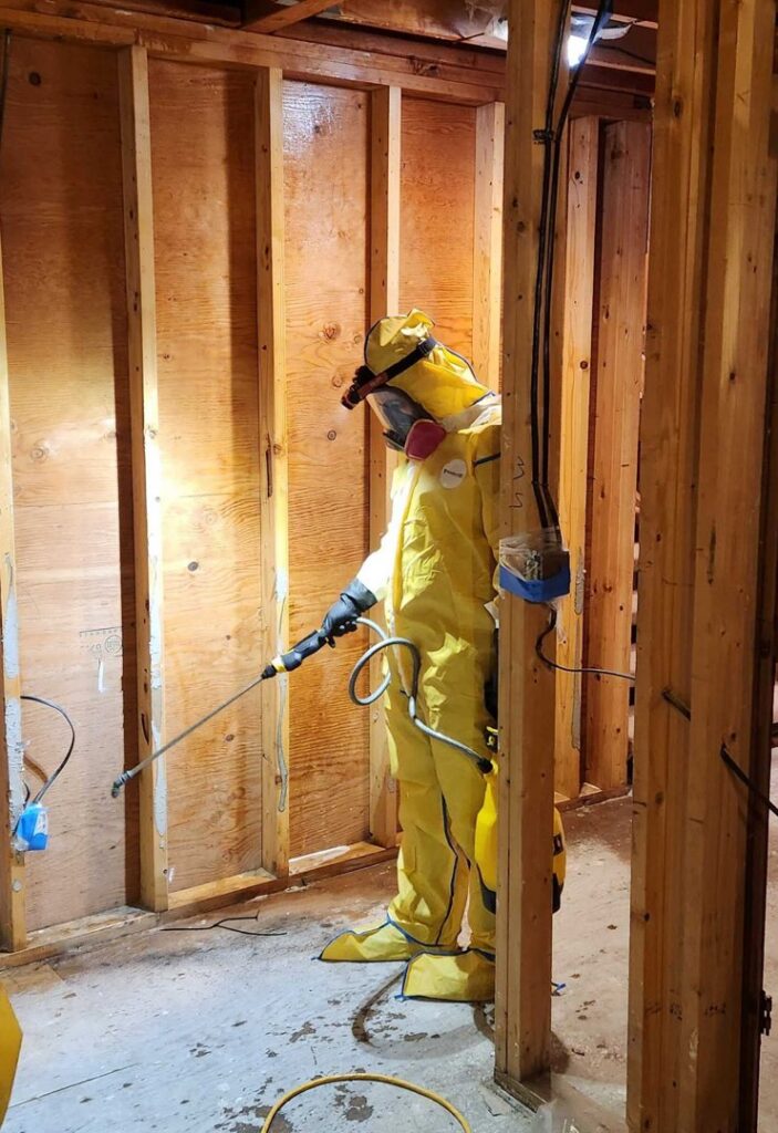 A technician in a yellow hazmat suit spraying for mold remediation on exposed studs by Verg Restoration in Vancouver, WA