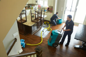 ServiceMaster technicians performing water extraction and drying in a water-damaged kitchen in Lexington, KY.