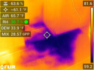 A thermal imaging scan detecting hidden moisture during a water damage assessment by Complete Cleanliness in Jamestown, ND.