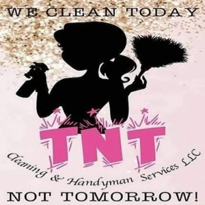 TNT Cleaning and Handyman Services LLC