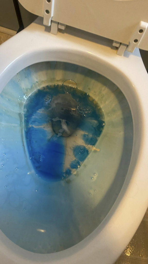 A toilet bowl with blue cleaning solution, showing a deep cleaning in progress by Estela's Cleaning Service's in Lake Elmo, MN.