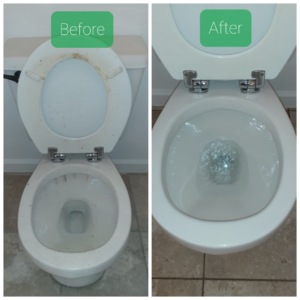Before and after comparison of a toilet cleaned by Go Green Cleaning Experts Of NV in Reno, NV