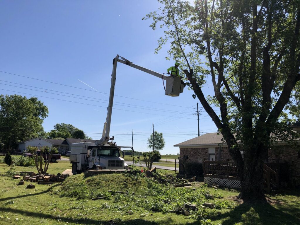 A worker in a bucket truck performing tree pruning services at a residential property for Munoz Tree & Lawn Service in Little Rock, AR.