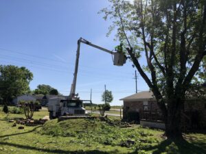 A worker in a bucket truck performing tree pruning services at a residential property for Munoz Tree & Lawn Service in Little Rock, AR.