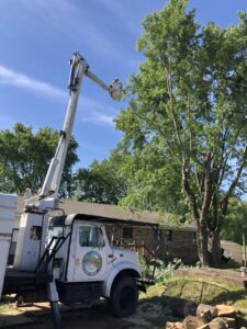 A bucket truck positioned next to a large tree with cut logs on the ground, showing tree service work by Munoz Tree & Lawn Service in Little Rock, AR.