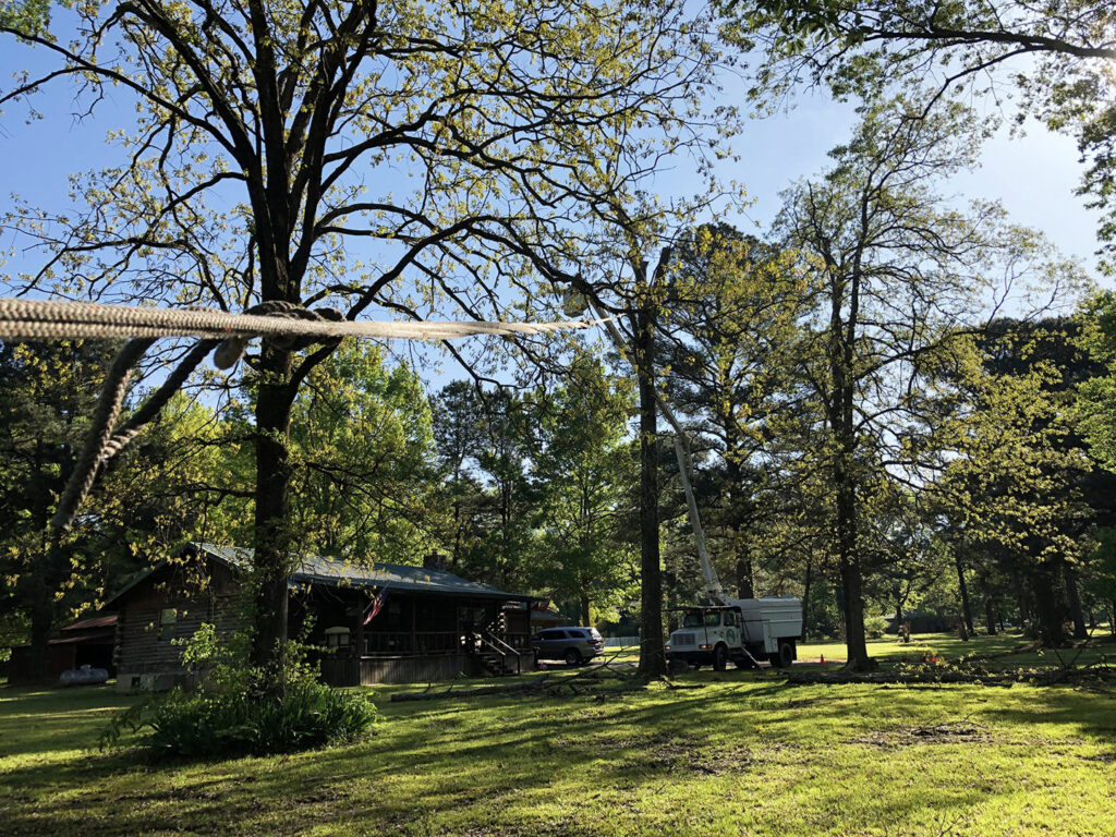 A residential property with a bucket truck and ropes set up for tree service by Munoz Tree & Lawn Service in Little Rock, AR.