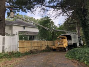 A worker in a bucket truck trimming a tree, with a wood chipper on site for Munoz Tree & Lawn Service in Little Rock, AR.