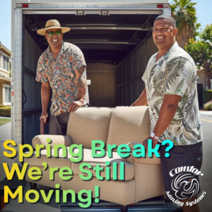 Two professional movers loading a large couch into a moving truck for Condor Moving Systems in Arlington, TX.