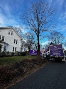 Two Paradise Moving & Storage trucks parked on a street in front of a house in Boston, MA.