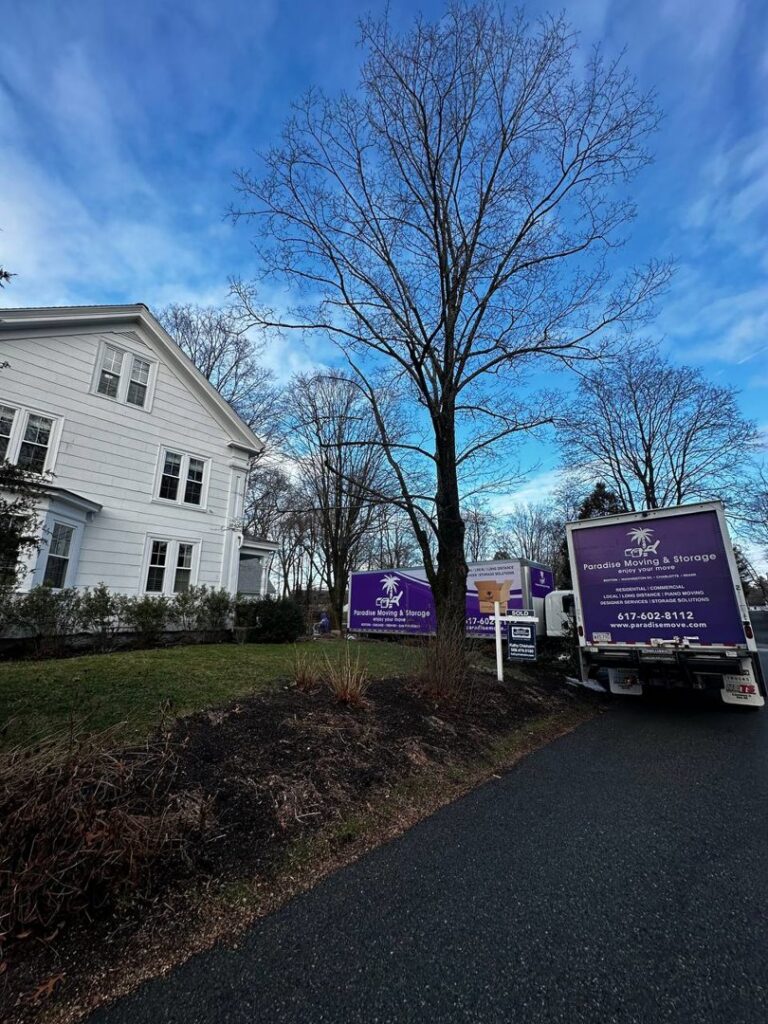 Two Paradise Moving & Storage trucks parked on a street in front of a house in Boston, MA.