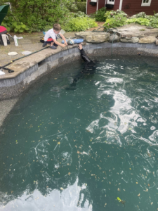 An underwater technician performing pool leak repair with assistance from the edge at South Shore Leak Solutions in Quincy, MA
