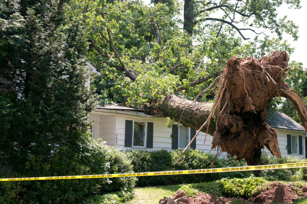 An uprooted tree fallen onto a house, showing severe storm damage and potential water intrusion for Royal Restoration in Enid, OK.