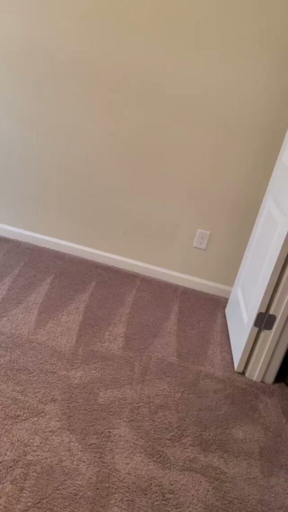A freshly vacuumed carpeted floor with distinct lines, demonstrating professional cleaning by YQP Cleaning Services in Miami, FL.