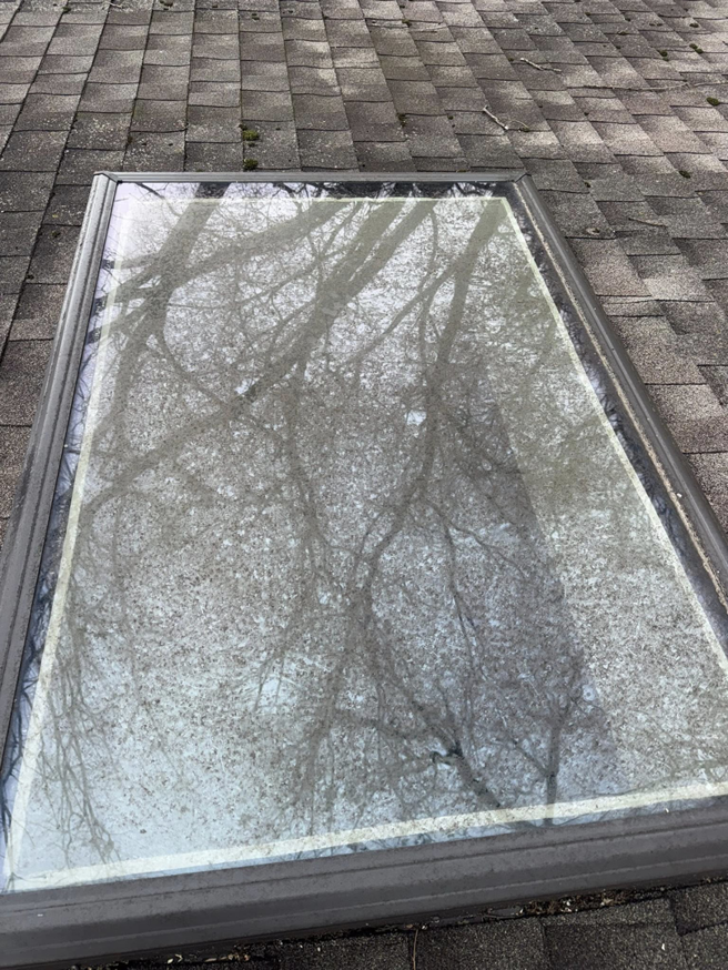 A very dirty skylight on a roof, covered in grime and reflecting bare trees, awaiting cleaning by Exterior Wash Pro LLC in Springdale, AR.