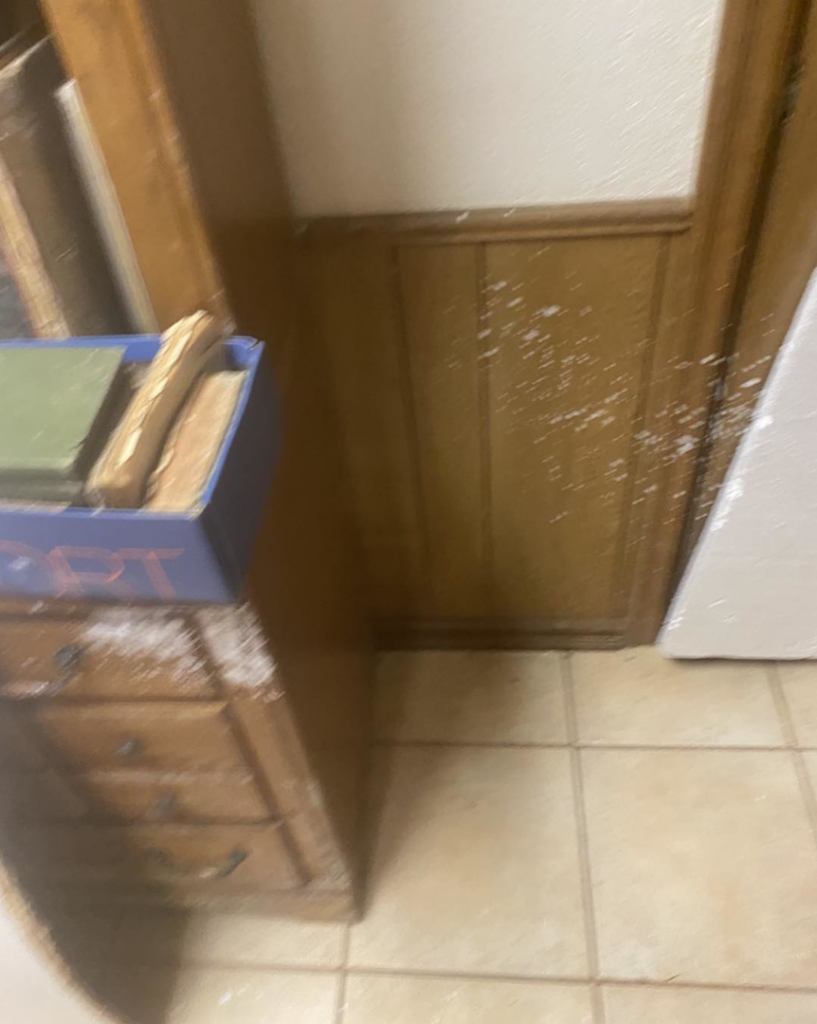 Water damage and mold visible on wooden paneling and the floor in a room, requiring remediation from 24HR Flood Pros of OKC in Oklahoma City, OK.