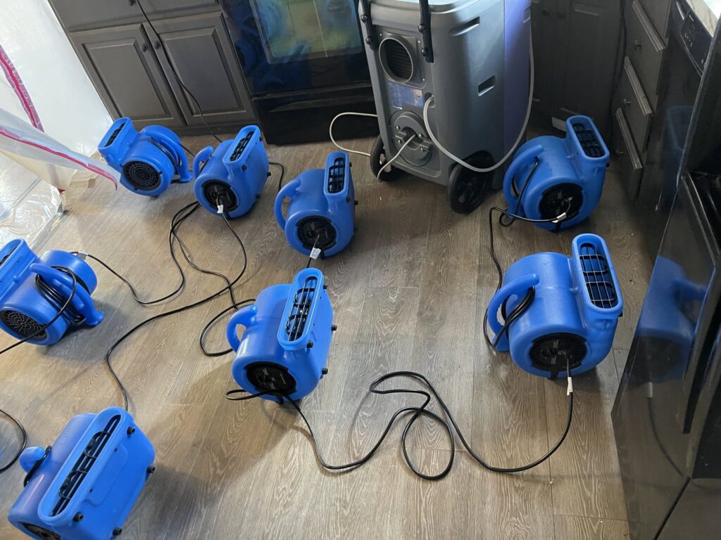 Water damage drying equipment, including air movers and a dehumidifier, used by Roeun's Restoration and Cleaning LLC in Rochester, MN.