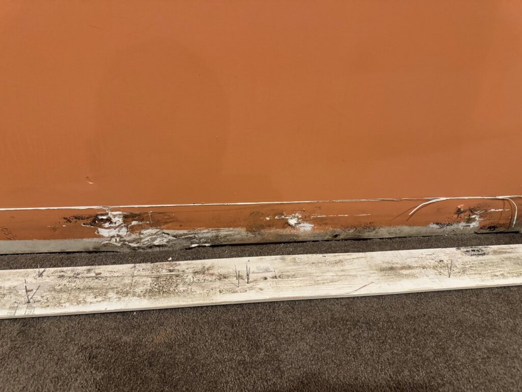 Visible water damage and mold growth on a baseboard and carpet, indicating a need for restoration by KY Water Damage Restoration in Georgetown, KY.