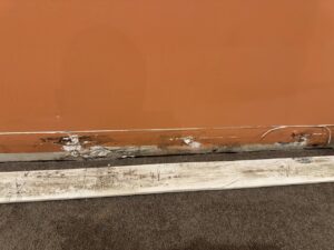 Visible water damage and mold growth on a baseboard and carpet, indicating a need for restoration by KY Water Damage Restoration in Georgetown, KY.