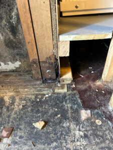 Close-up of a wall with visible water damage and mold, exposed studs, and damaged flooring, by Doctor Fix-It in Denver, CO.
